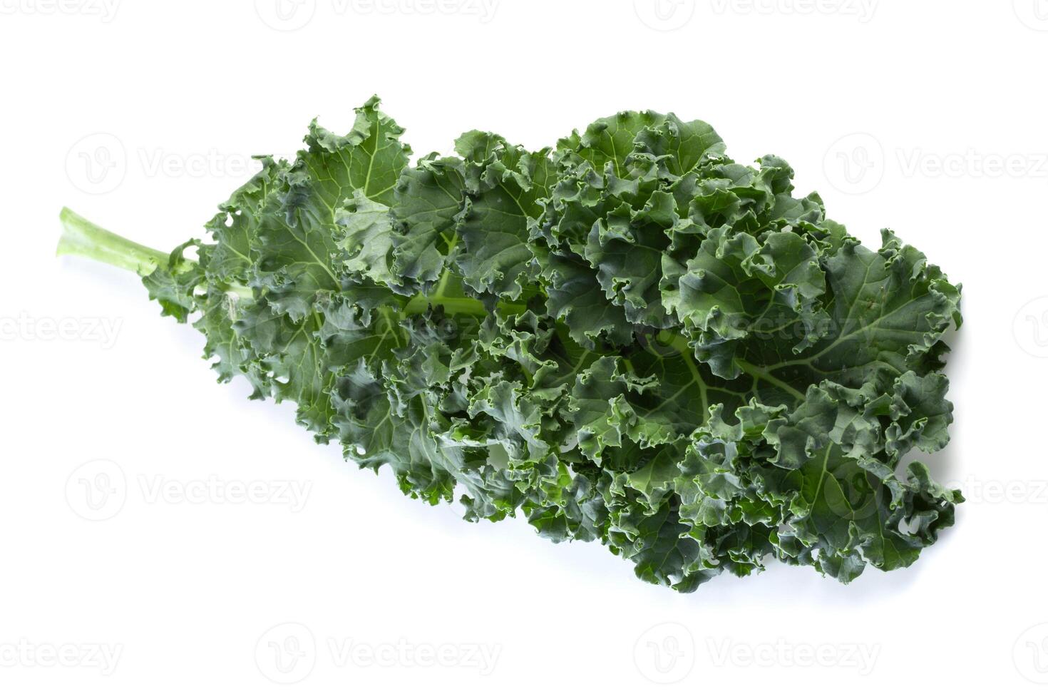 Fresh green leaves of Kale. Green vegetable leaves isolated on a white background. photo