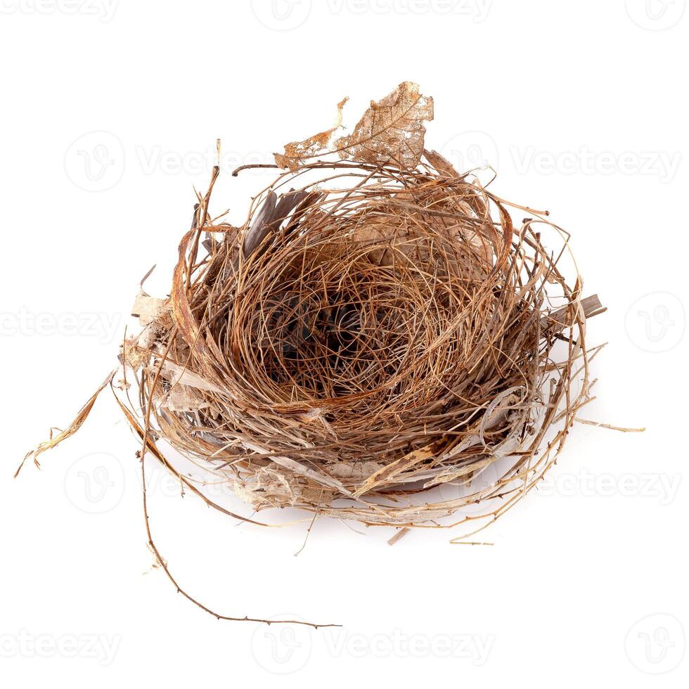 Empty bird nest isolated over a white background. photo