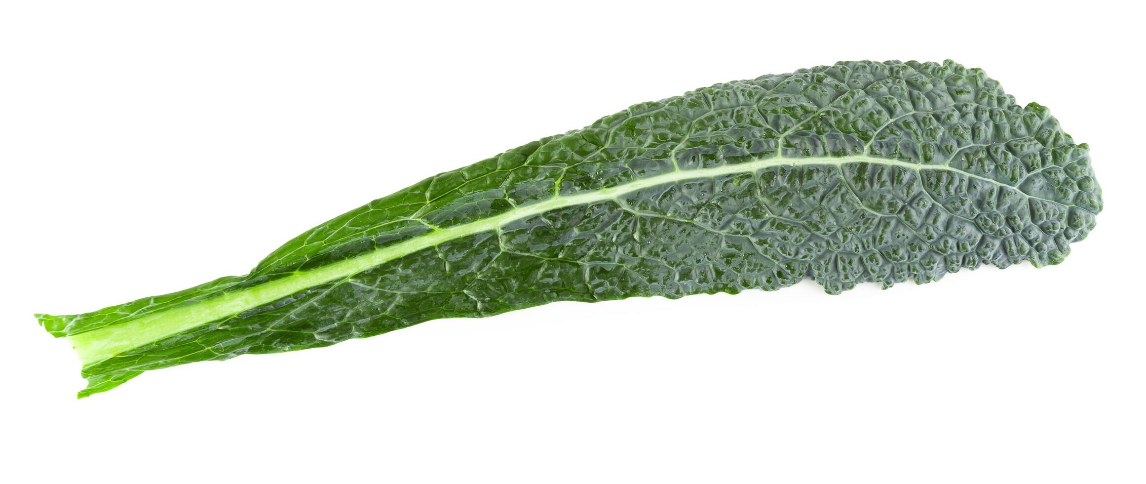 Fresh organic green kale leaves isolated over white background photo