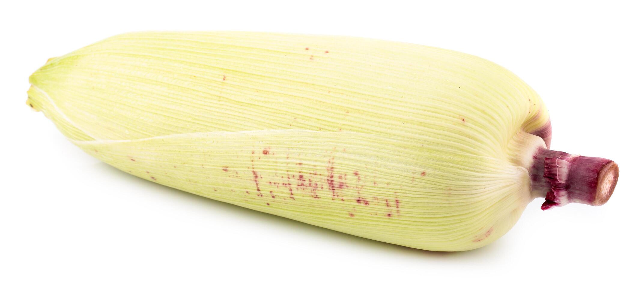 Fresh corns isolated on a white background photo