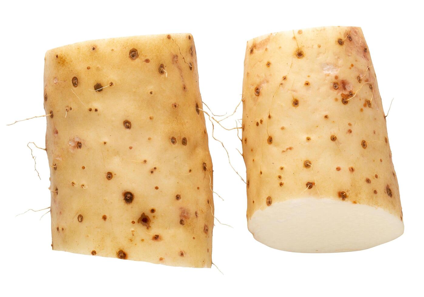 Yamaimo roots and slices or Chinese yam isolated over white background photo