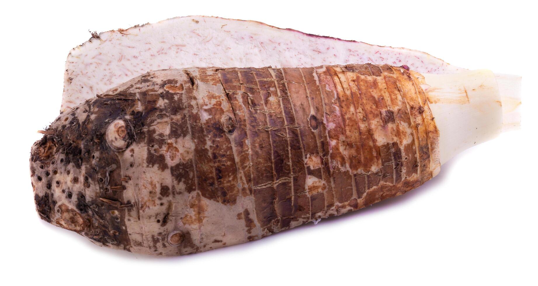 slice of taro root isolated on a white background. photo