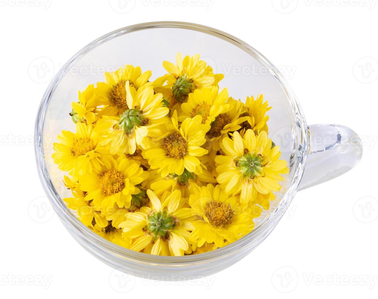 Yellow Chrysanthemum flowers isolated on white background photo