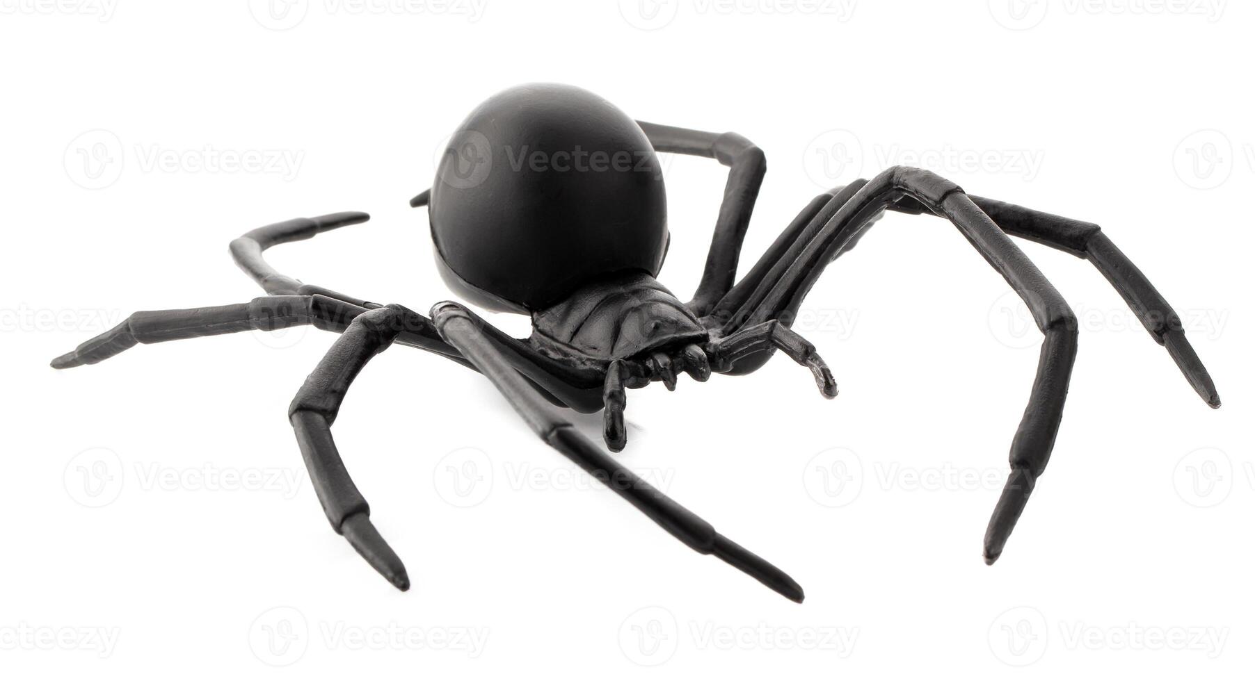 Fake rubber spider toy isolated over a white background photo
