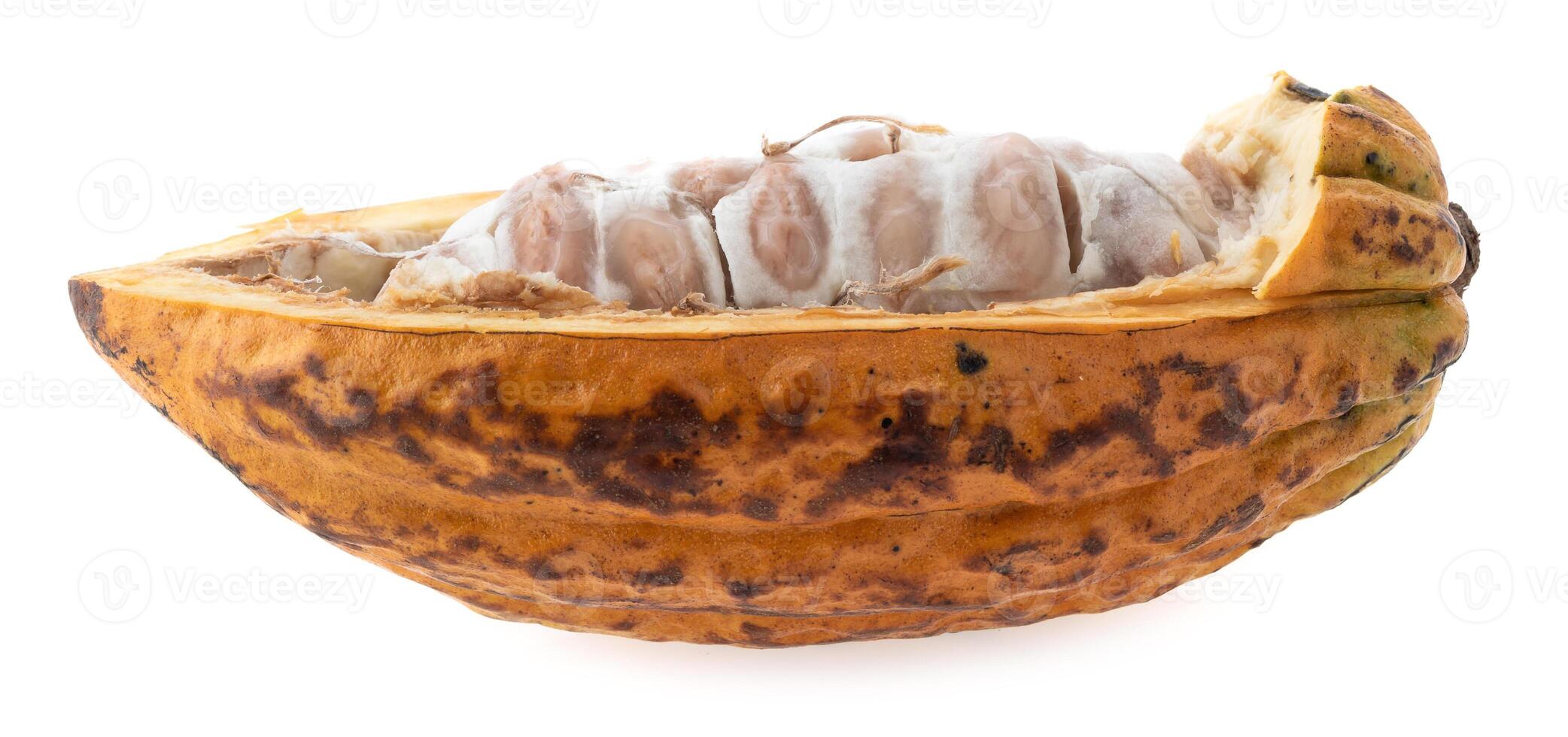Fresh cocoa fruits isolated on white background photo