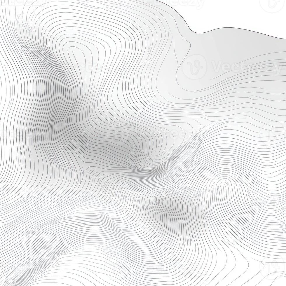 Abstract Curved Line Pattern in White and Gray photo