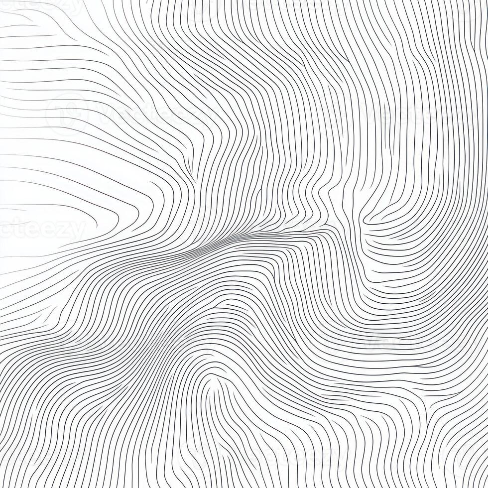 Abstract Curving Lines on a White Background photo