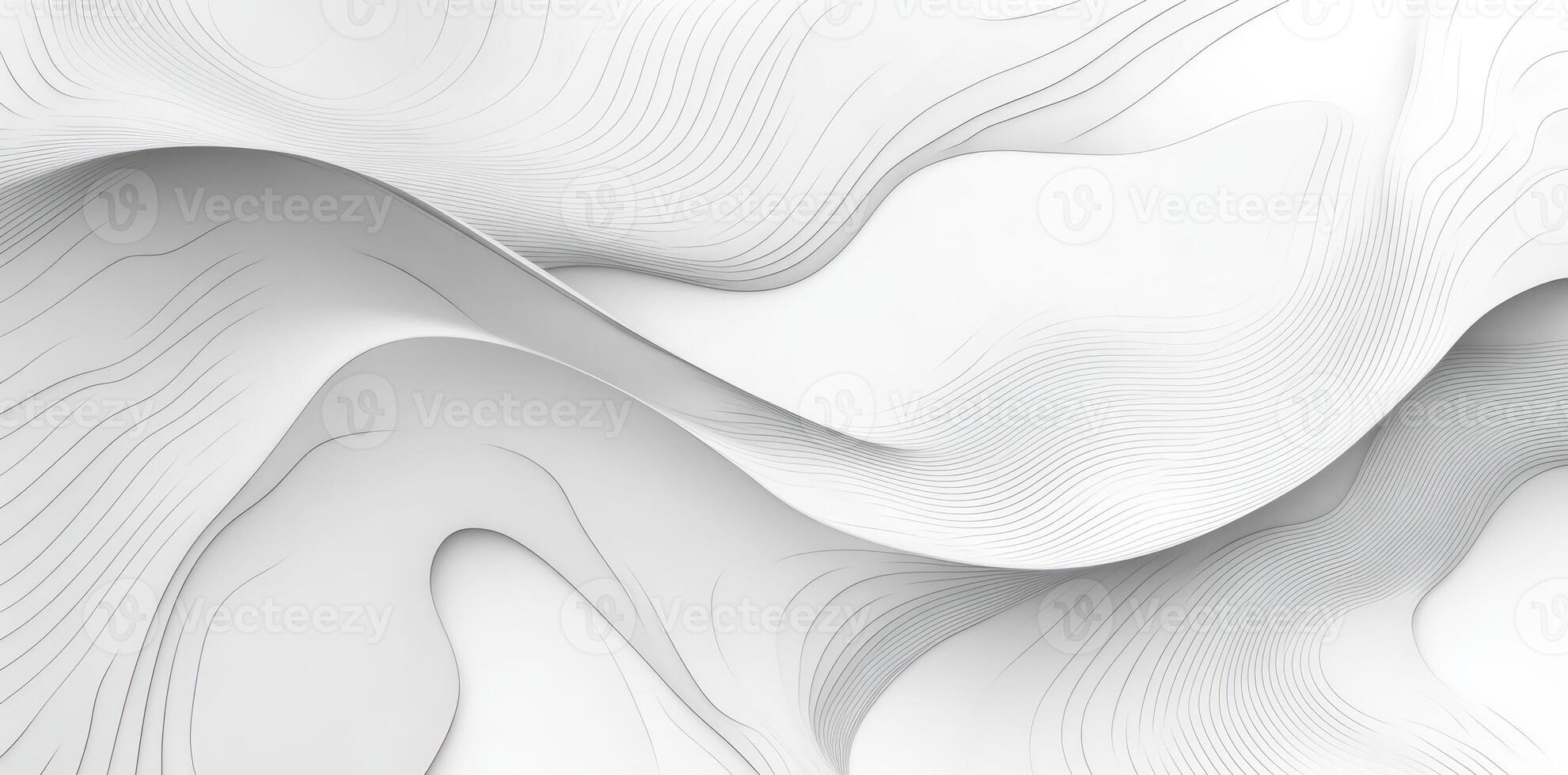 Abstract White Wavy Lines and Curves photo