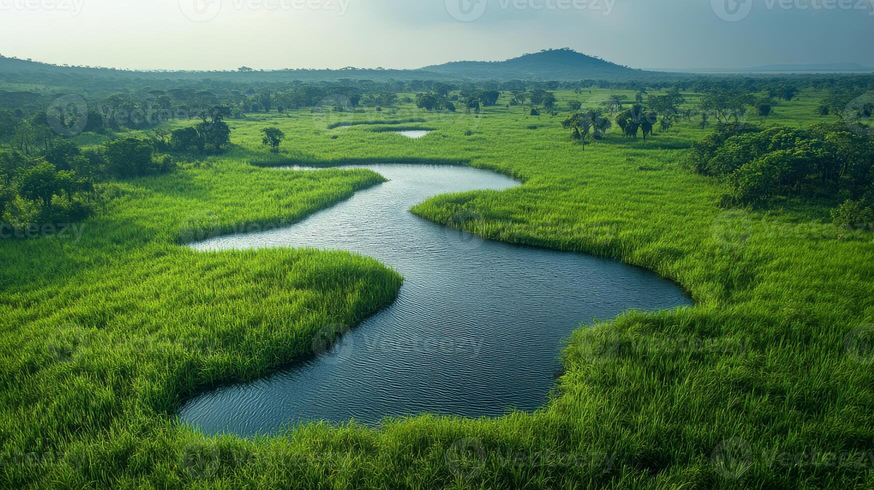 The winding river flows through vibrant green wetlands, showcasing the rich biodiversity of the protected area. photo
