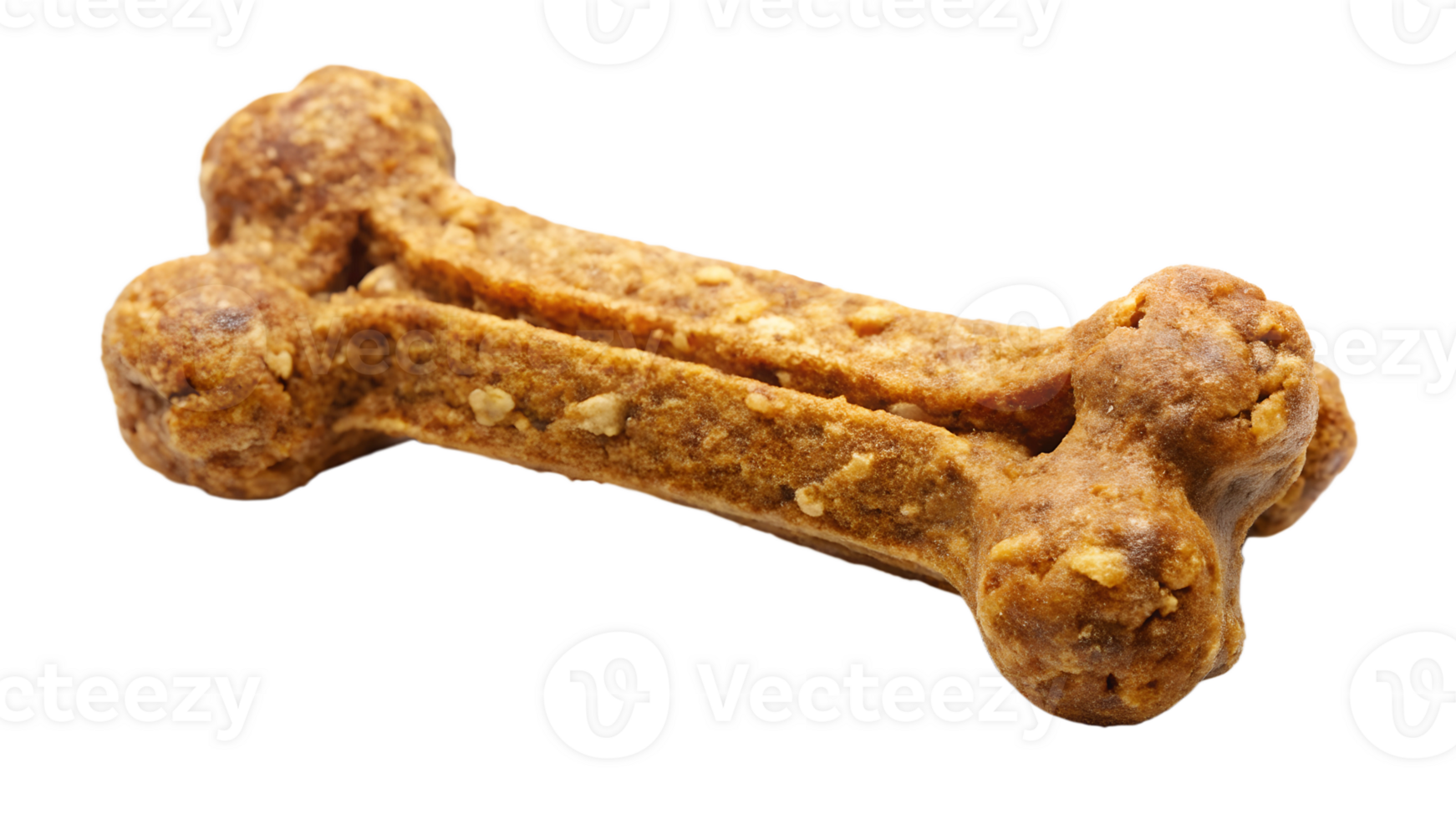 Dog biscuit shaped like a bone with kibble topping, pet treat, isolated transparent file png