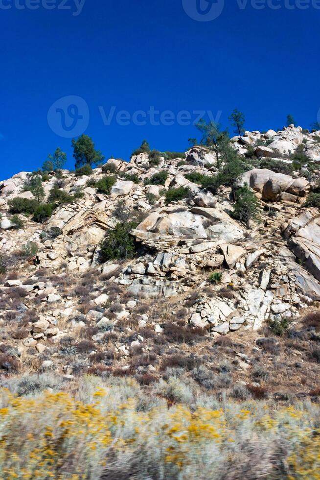 Conifers and other drought-resistant plants grow on the clay and stone rocks of the mountain at the pass in the Sierra Nevada Mountains, California, USA photo