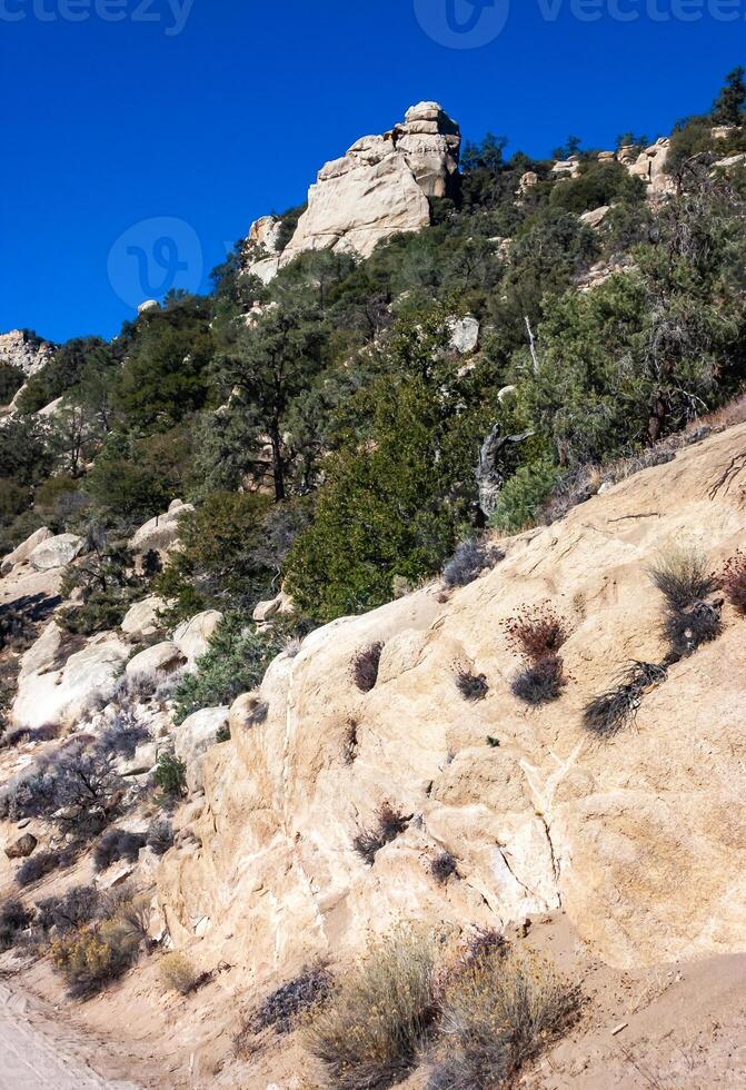 Conifers and other drought-resistant plants grow on the clay and stone rocks of the mountain at the pass in the Sierra Nevada Mountains, California, USA photo