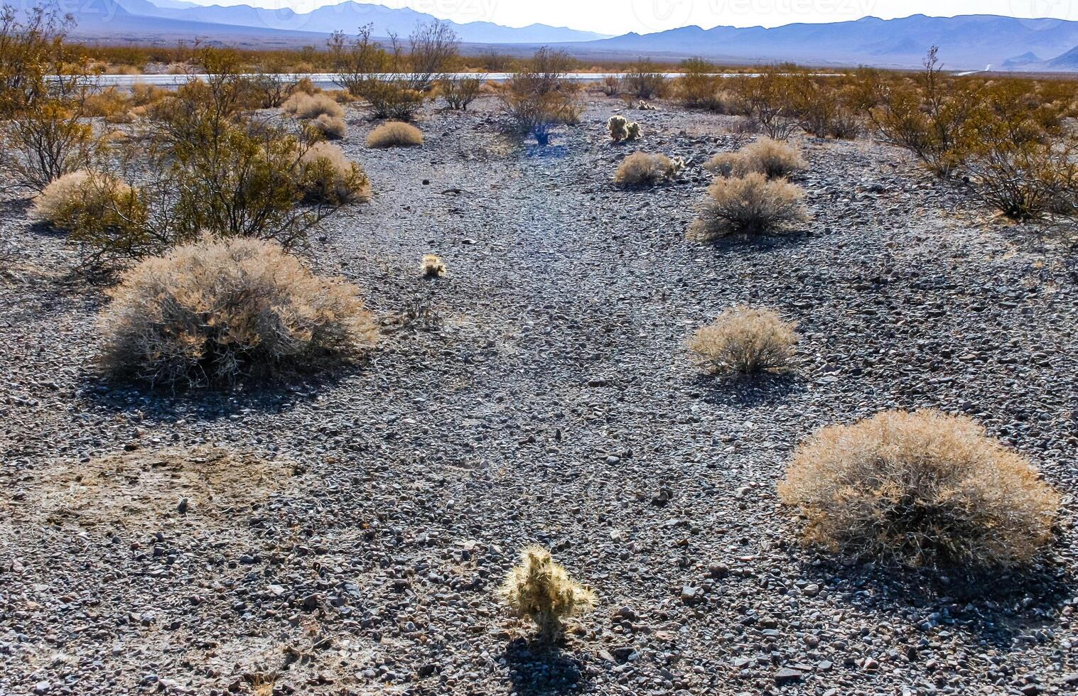 California desert landscape, cacti and other desert plants in rock desert in the foothills, California photo