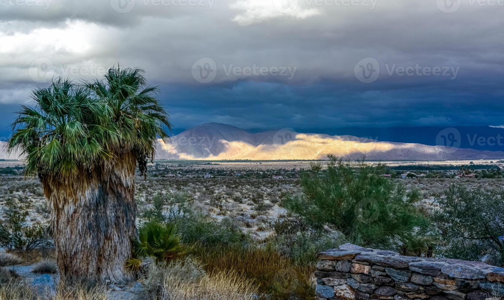Valley overgrown with desert vegetation on a cloudy day, Mountains in the background, State park ANZA-BORREGO DESERT photo
