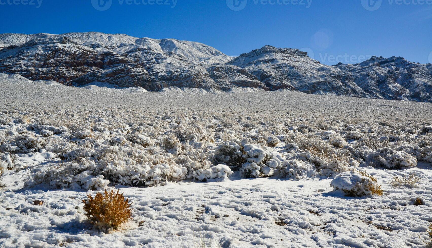 Snow in the mountains, Snow-covered mountain pass, desert plants under the snow in summer photo