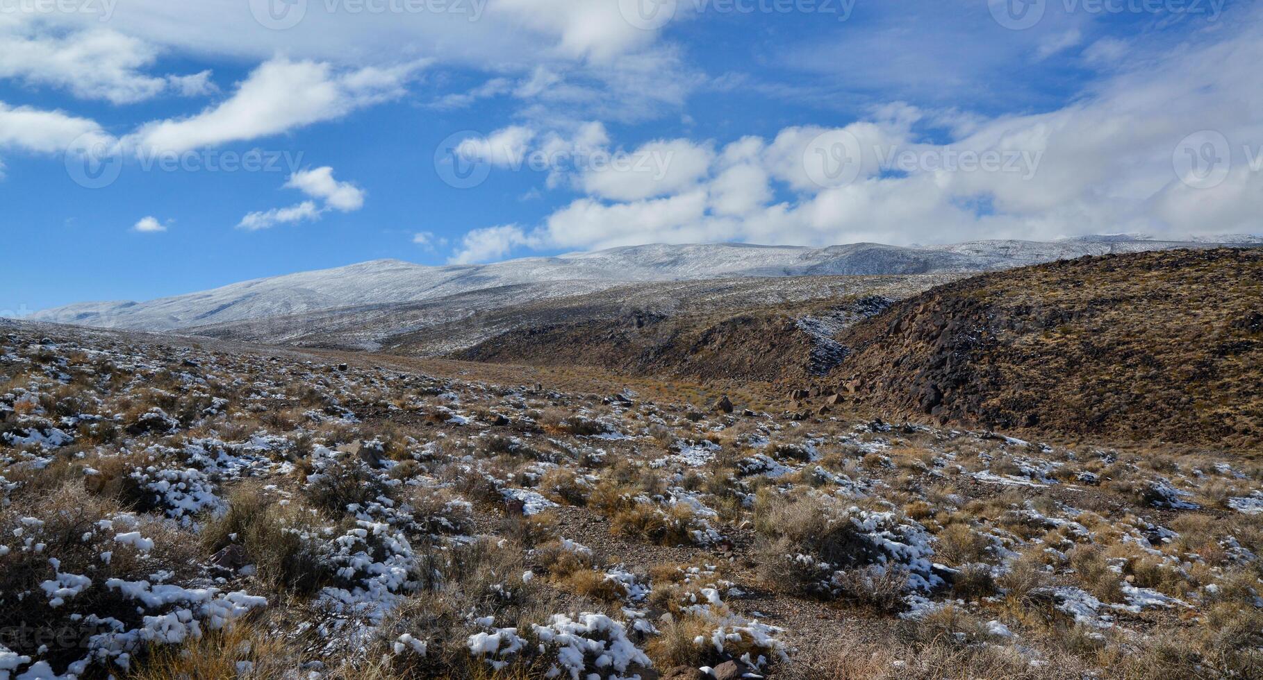 Snow in the mountains, Snow-covered mountain pass, desert plants under the snow in summer photo