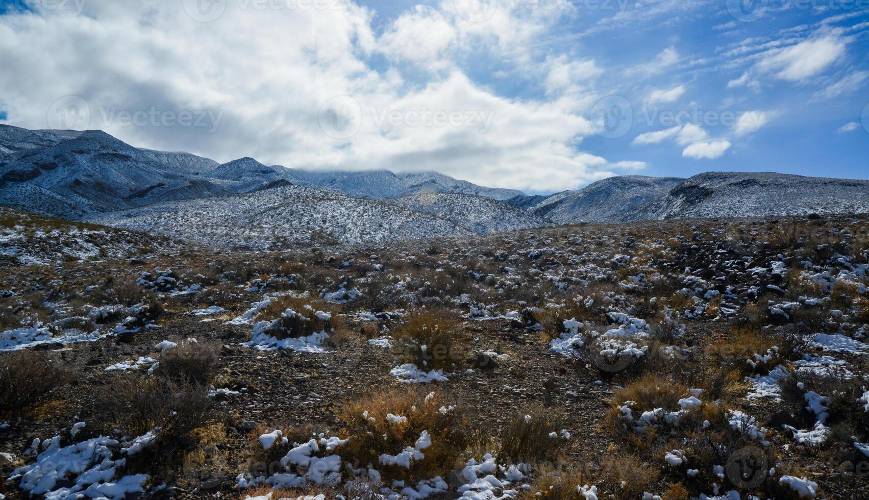 Snow in the mountains, Snow-covered mountain pass, desert plants under the snow in summer photo
