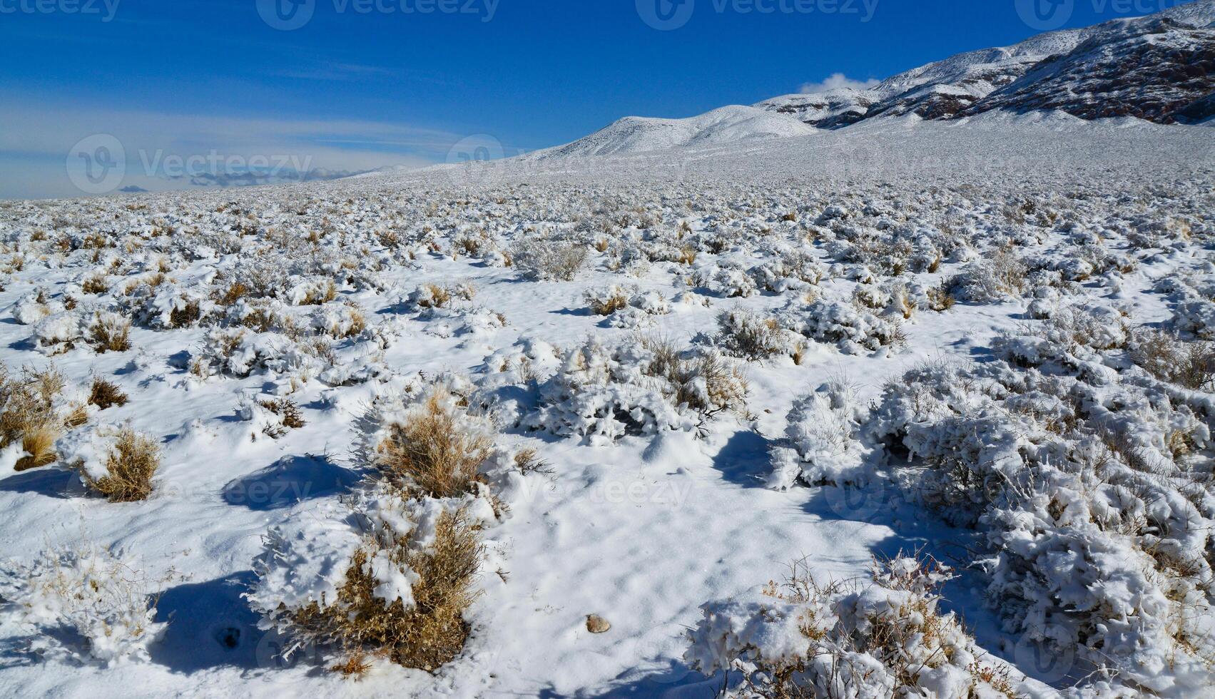 Snow in the mountains, Snow-covered mountain pass, desert plants under the snow in summer photo