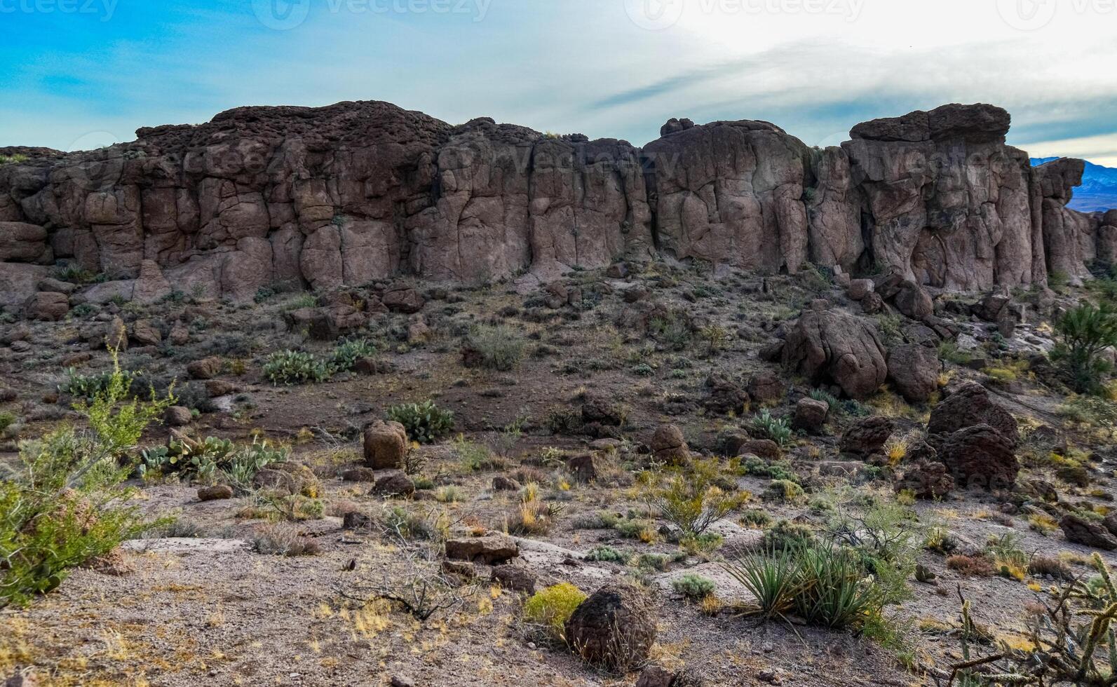 Desert landscape with cacti, Mountain erosion formations of red mountain sandstones photo