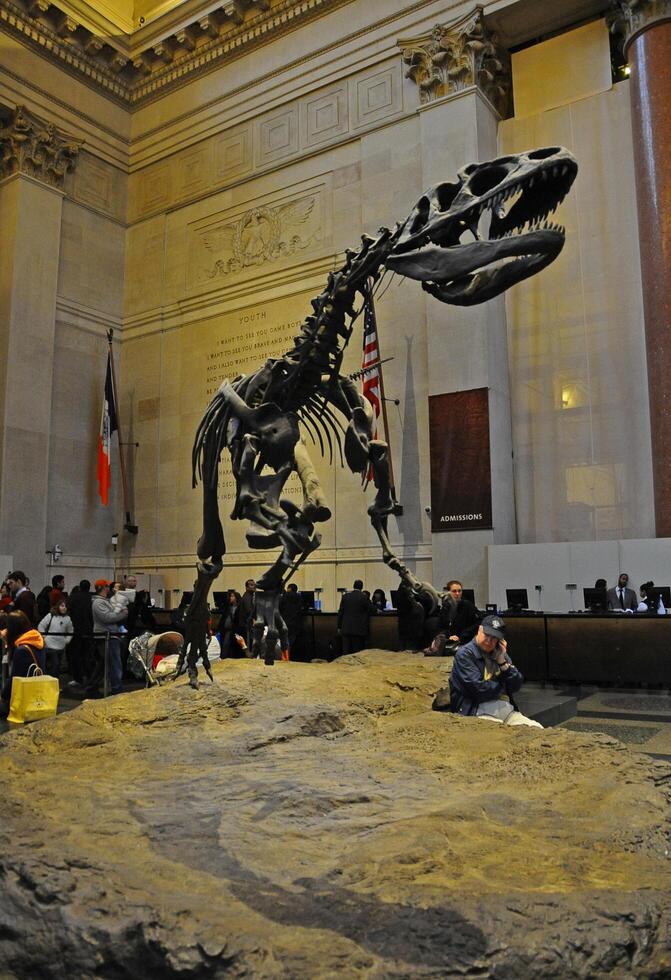 Manhattan, New York - NOVEMBER 17, 2011 Dinosaur skeleton, Metropolitan Museum of Art, Manhattan, New York, United States. The American Museum of Natural History, NY. photo