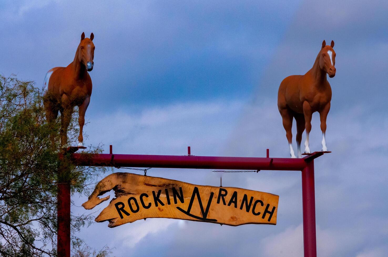 USA, TEXAS - NOVEMBER 25, 2011 Horses above the gate at the entrance to a ranch in Texas, USA photo