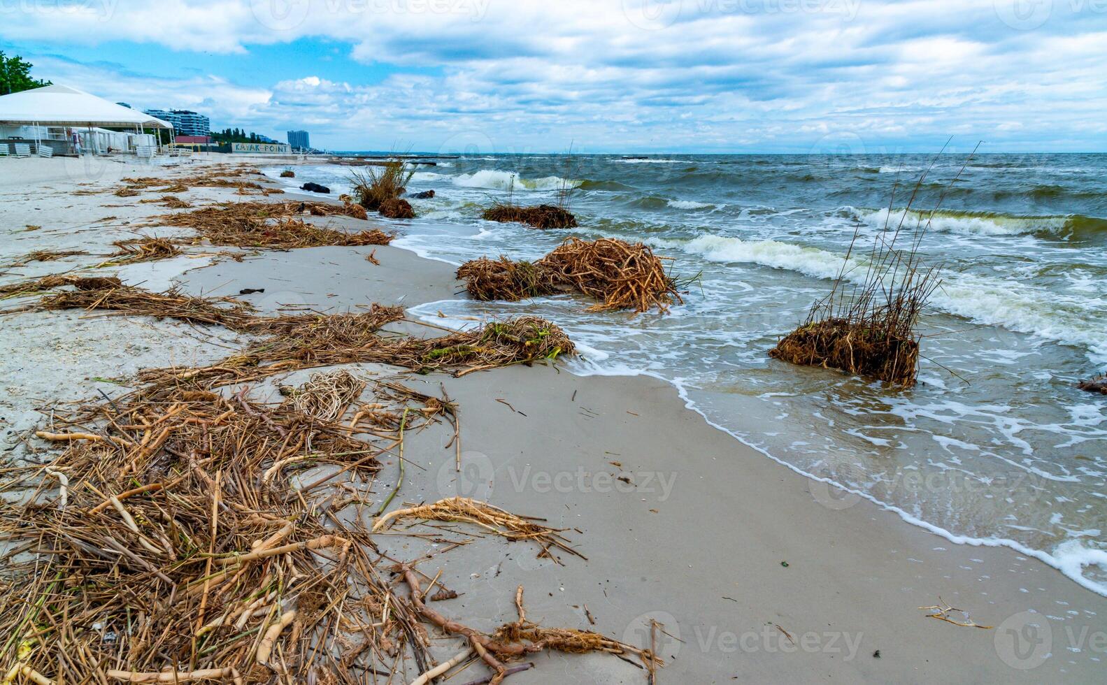 Consequences of the Accident at the Kakhovka power plant, pollution of the beaches of Odessa with garbage and plant remains brought by water photo