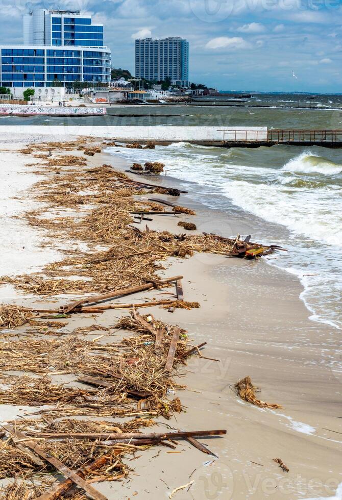 Consequences of the Accident at the Kakhovka power plant, pollution of the beaches of Odessa with garbage and plant remains brought by water photo