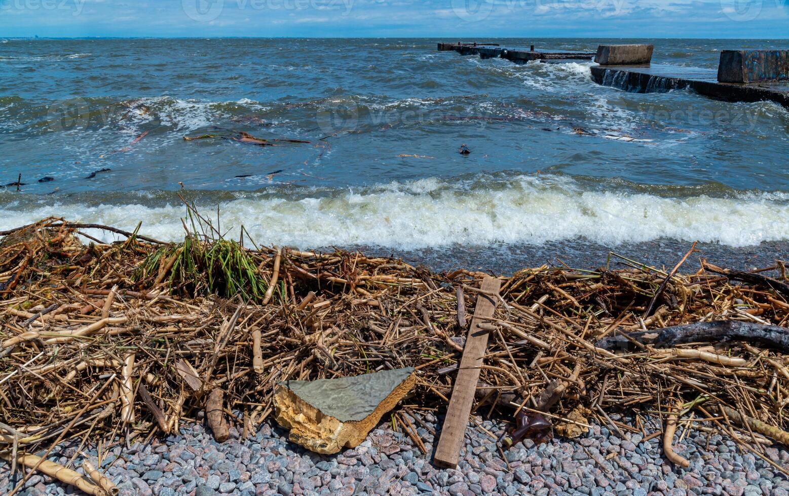 Consequences of the Accident at the Kakhovka power plant, pollution of the beaches of Odessa with garbage and plant remains brought by water photo