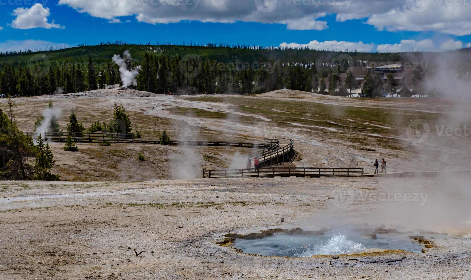 Boiling water bubbler Geyser. Active geyser with major eruptions. Yellowstone NP, Wyoming, US photo