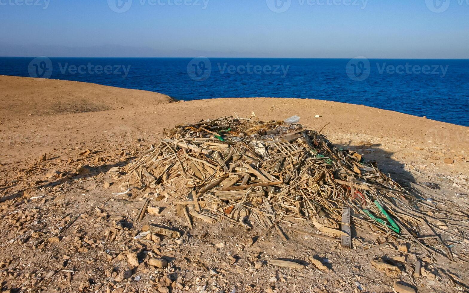 A large eagle nest built from debris and branches on the shore of an island photo