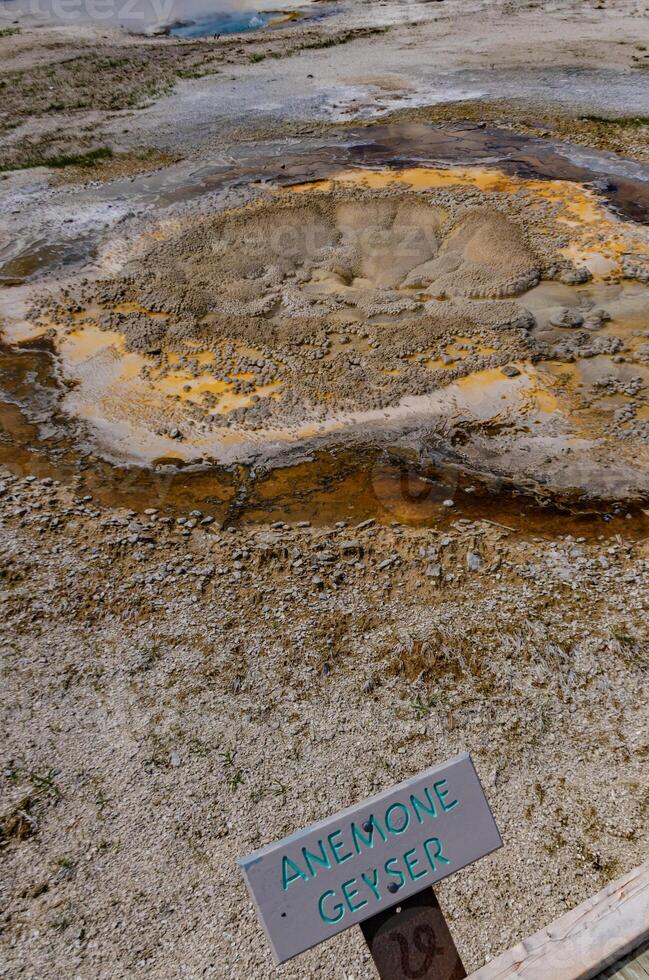 Boiling water bubbler Geyser. Active geyser with major eruptions. Yellowstone NP, Wyoming, US photo