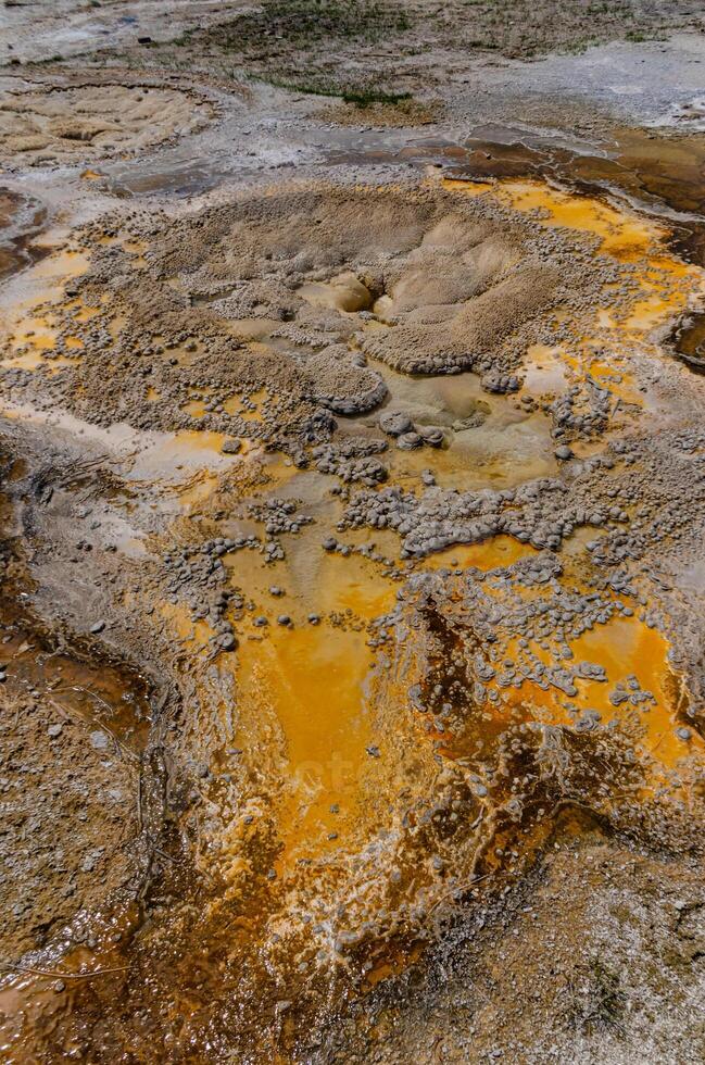 Algae-bacterial mats. Hot thermal spring, hot pool in the Yellowstone NP. Wyoming, US photo