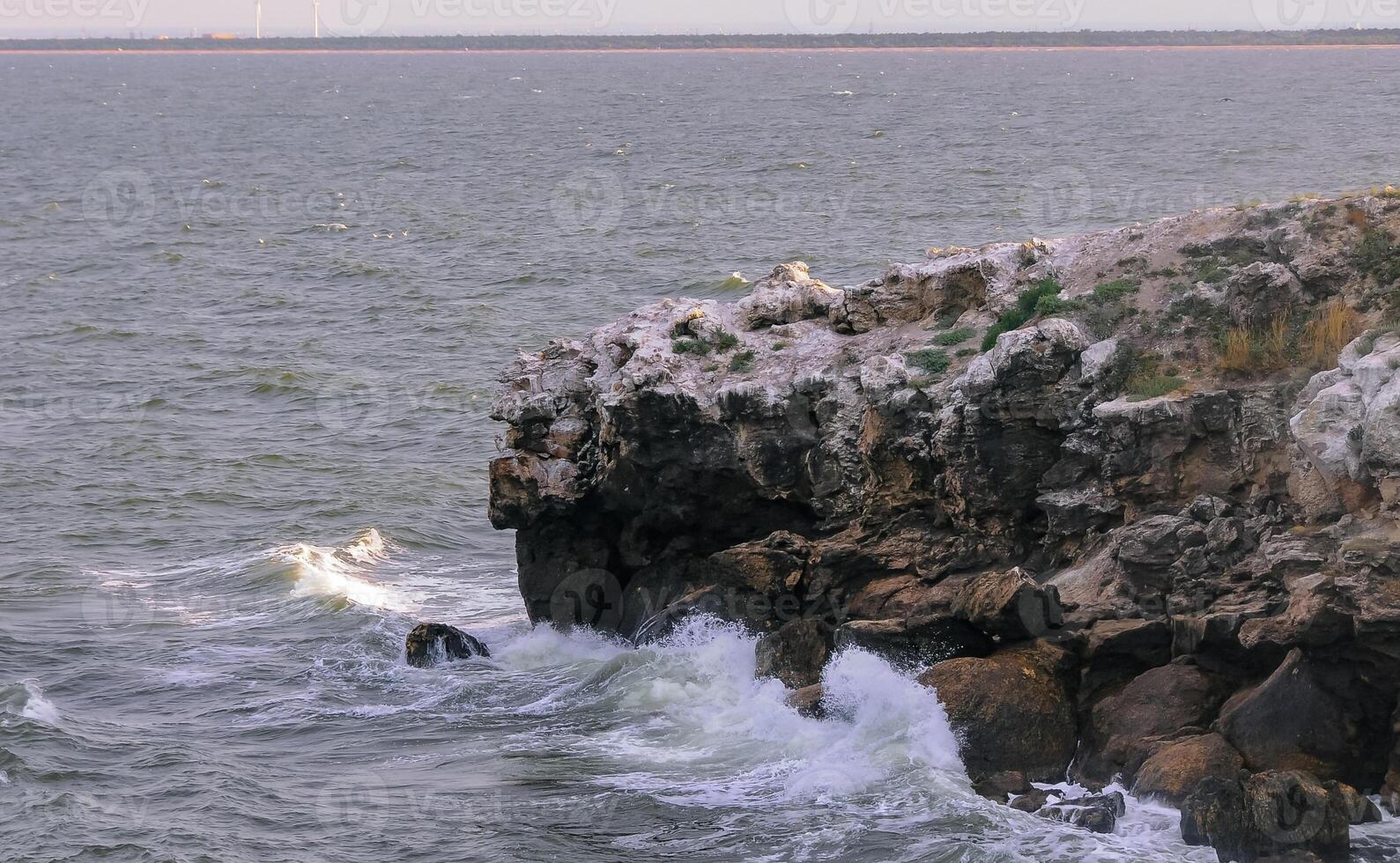 The steep stone coast of the Black Sea from Pontic limestones at Kazantip, Eastern Crimea photo