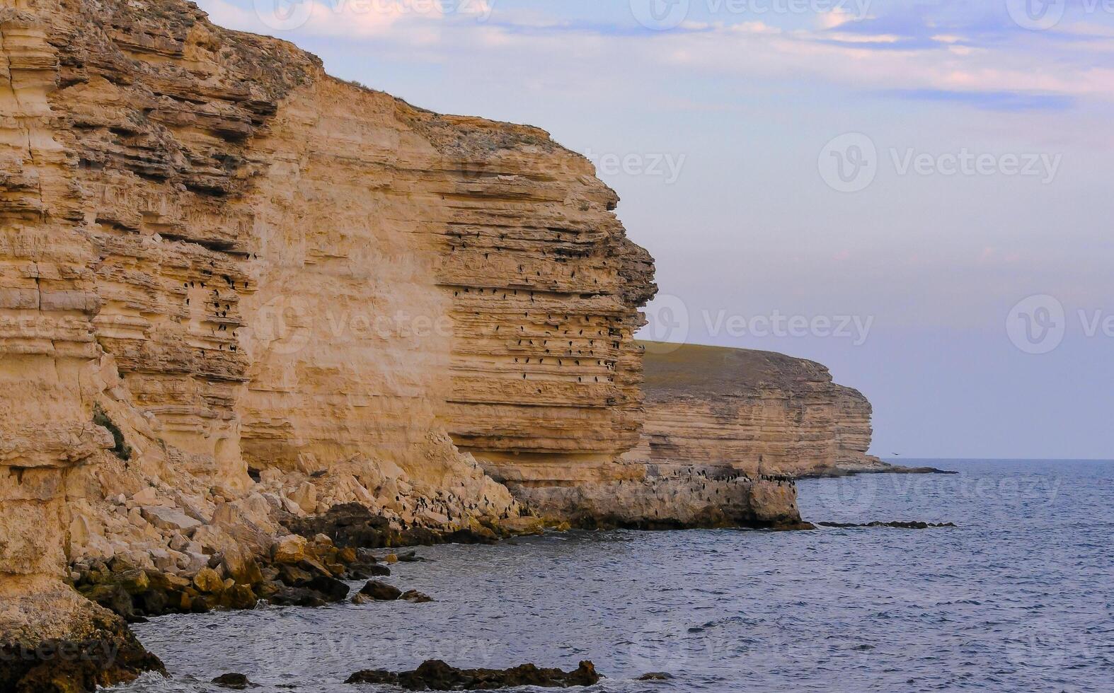 Cormorants rest on a steep bank of Pontic limestone in eastern Crimea photo