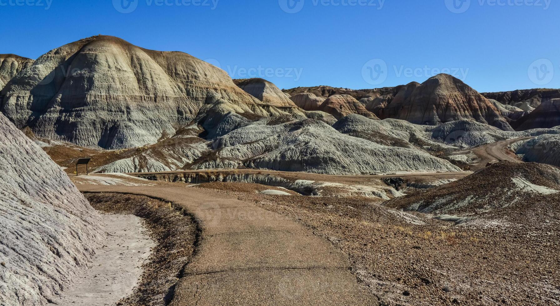 The Painted Desert on a sunny day. Diverse sedimentary rocks and clay washed out by water. Petrified Forest National Park, USA, Arizona photo
