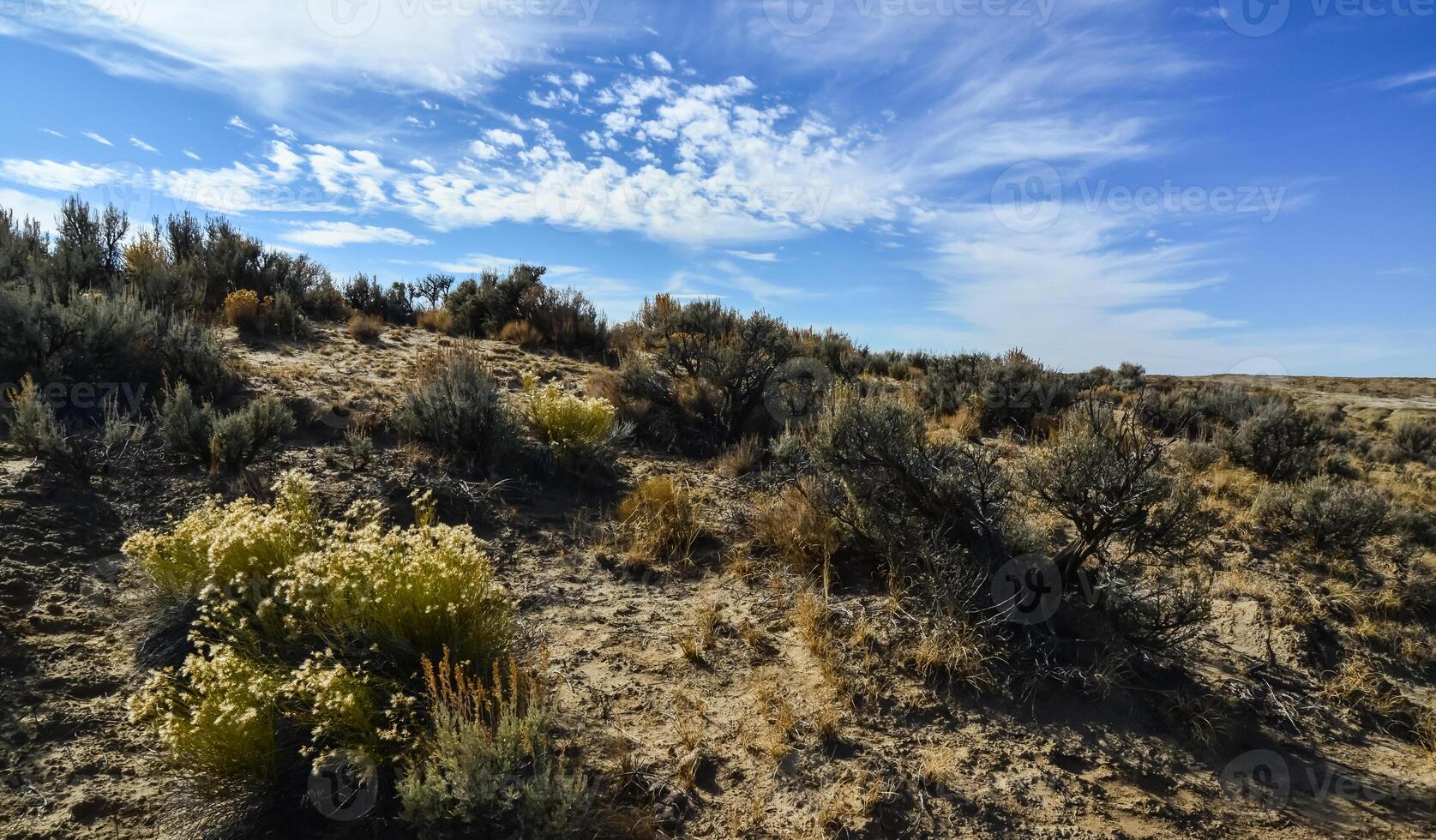 Weird sandstone formations created by erosion at Ah-Shi-Sle-Pah Wilderness Study Area in San Juan County near the city of Farmington, New Mexico. photo
