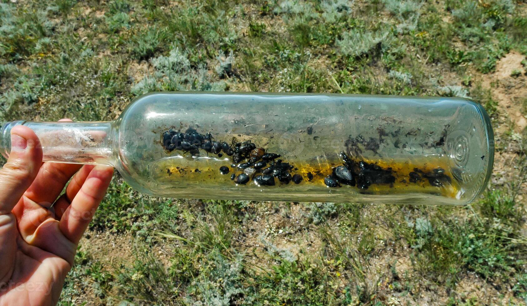 A glass bottle thrown in nature - an insect killer, an ecological problem of garbage in nature, Crimea, Tarkhankut Atlesh photo