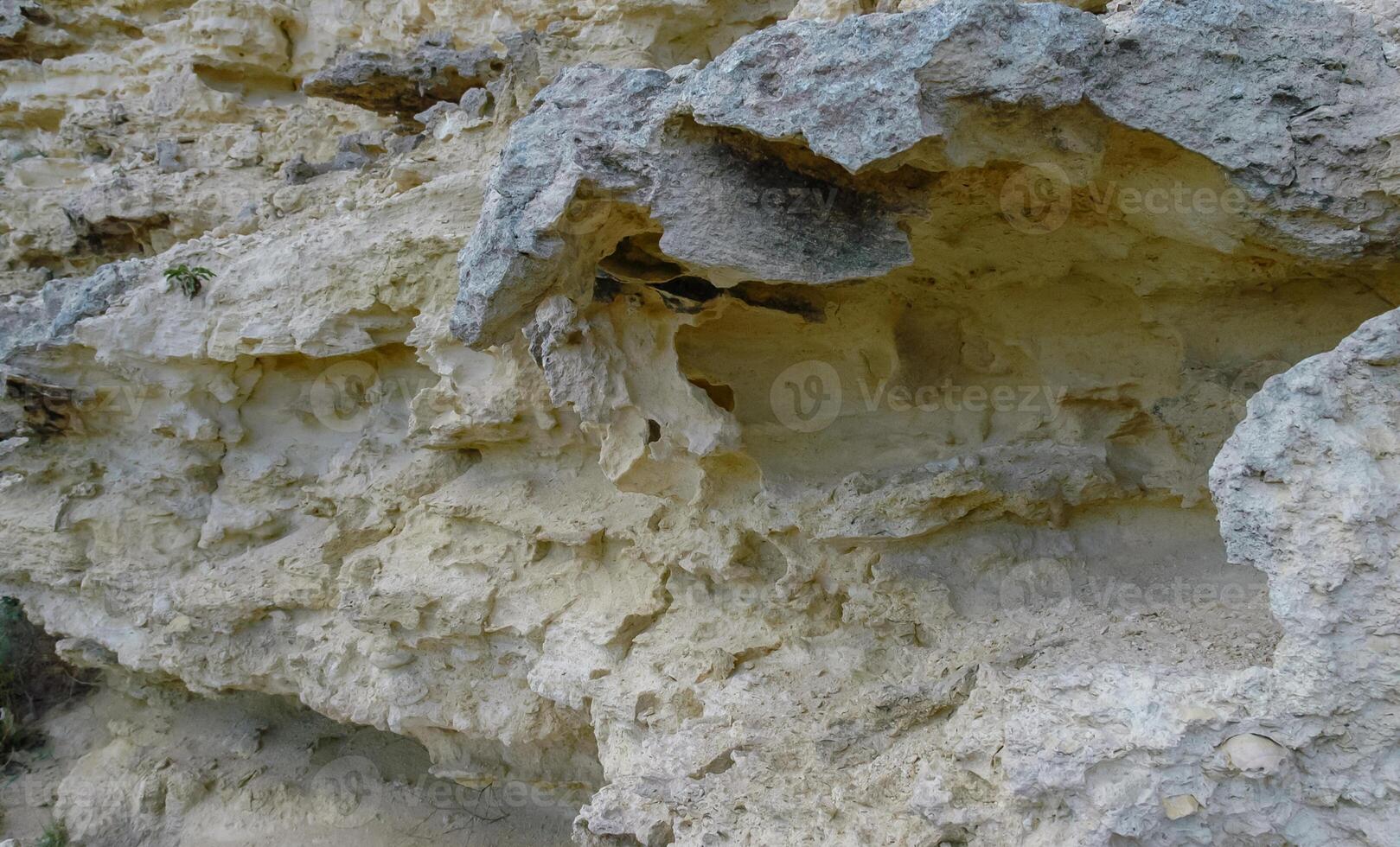 Weathering of the shell rocks of Dzhangul of the landslide coast in the western Crimea, Tarkhankut photo
