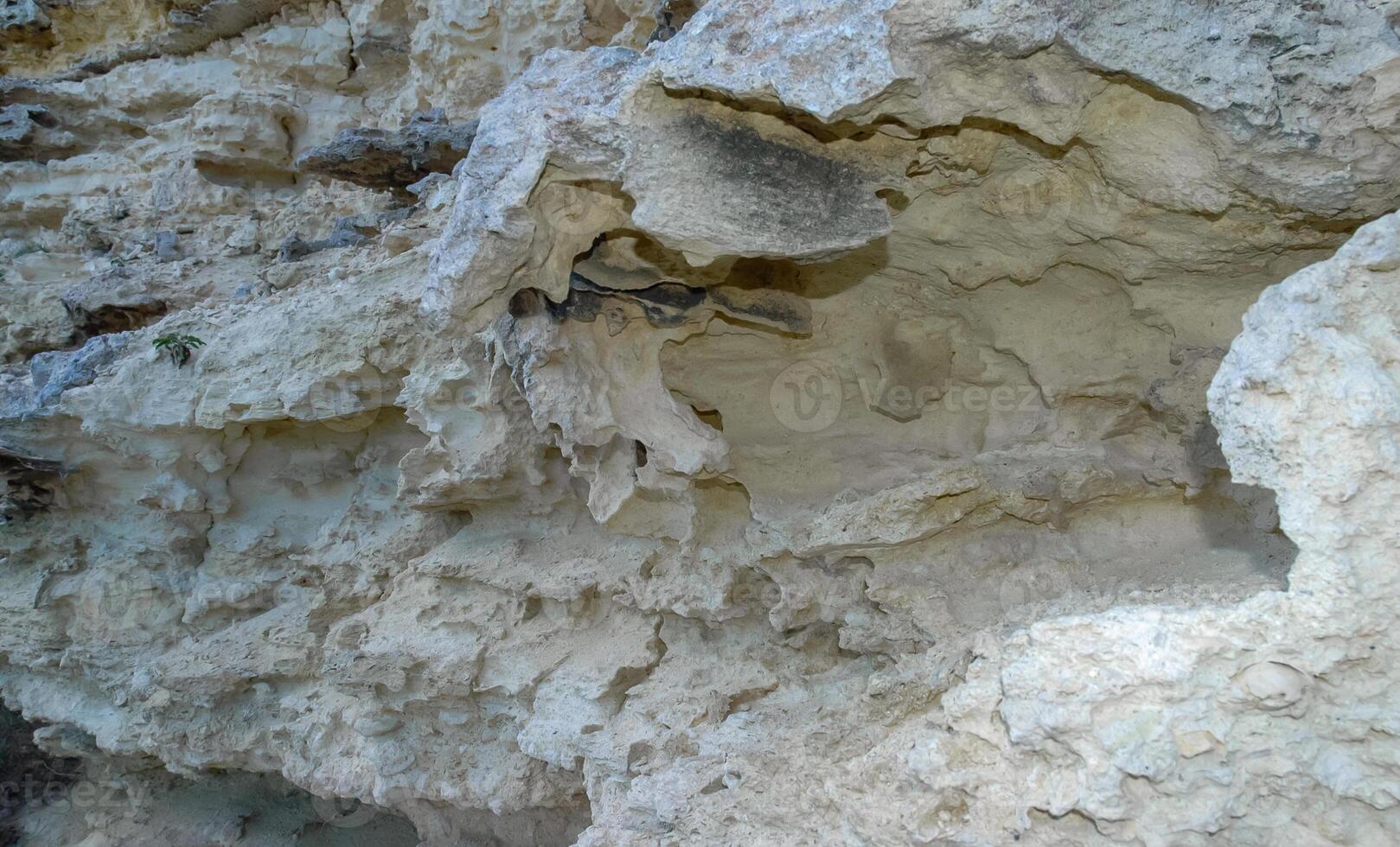 Weathering of the shell rocks of Dzhangul of the landslide coast in the western Crimea, Tarkhankut photo