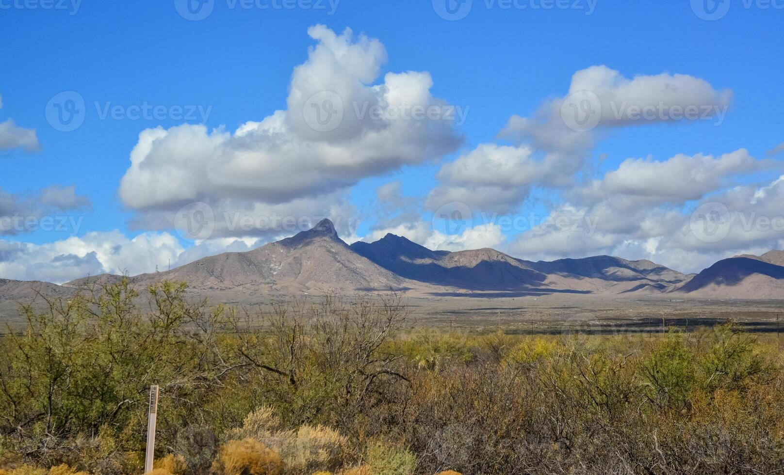 New Mexico desert landscape, high mountains in the background of the desert and drought-tolerant plants, New Mexico photo