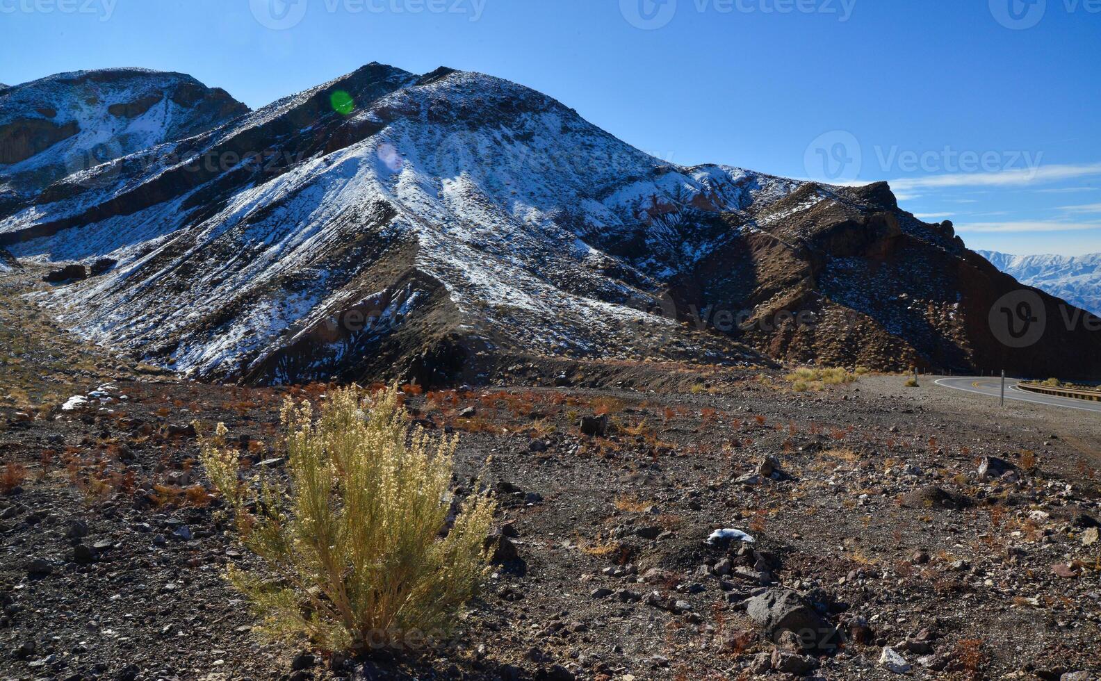 Landscape of a valley overgrown with desert vegetation and cacti in the rock desert in California, mountains in the background photo