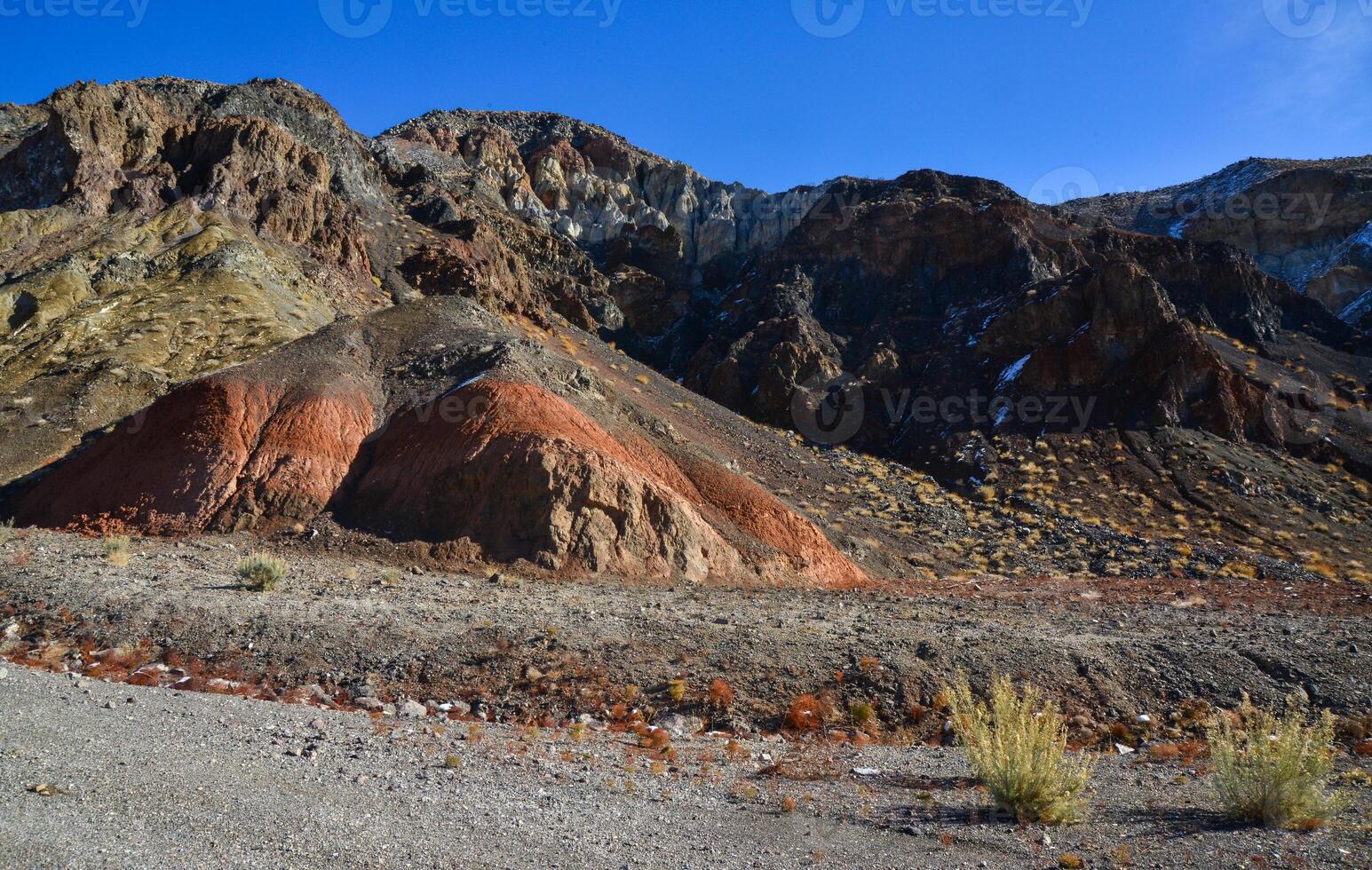 Landscape of a valley overgrown with desert vegetation and cacti in the rock desert in California, mountains in the background photo