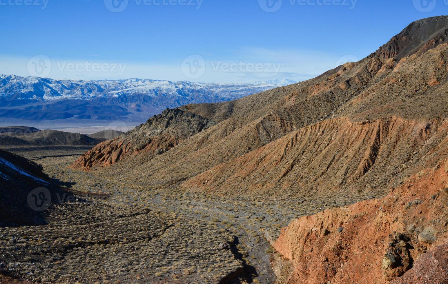 Landscape of a valley overgrown with desert vegetation and cacti in the rock desert in California, mountains in the background photo