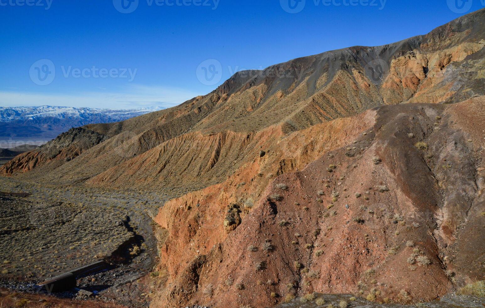 Landscape of a valley overgrown with desert vegetation and cacti in the rock desert in California, mountains in the background photo