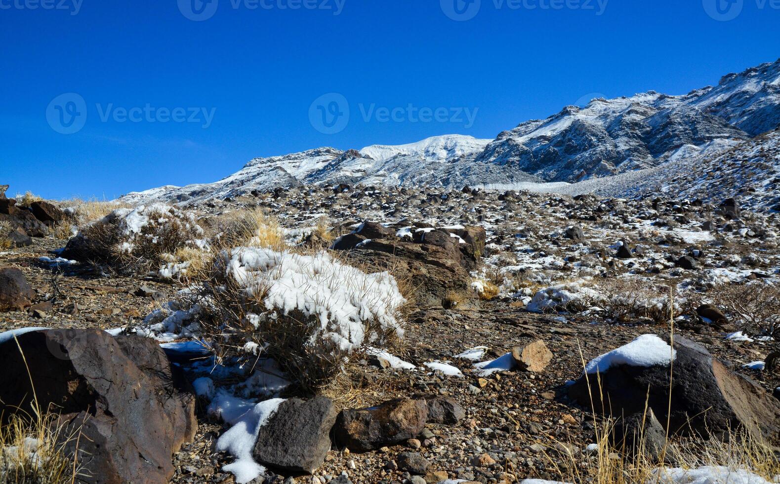 Snow in the mountains, Snow-covered mountain pass, desert plants under the snow in summer photo