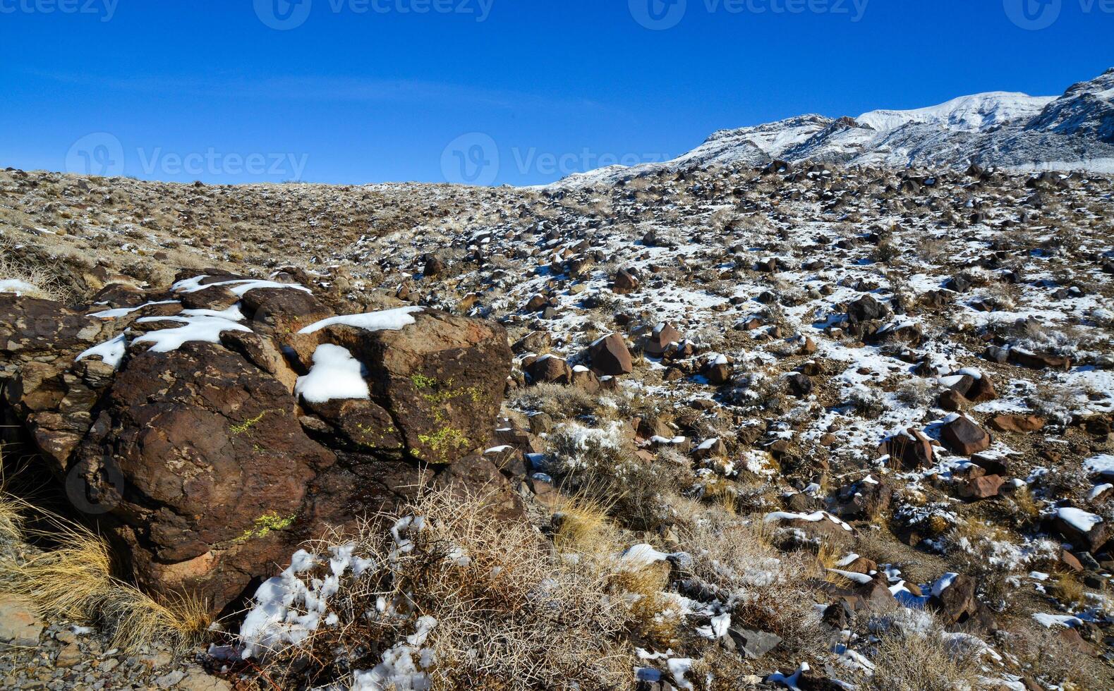 Snow in the mountains, Snow-covered mountain pass, desert plants under the snow in summer photo
