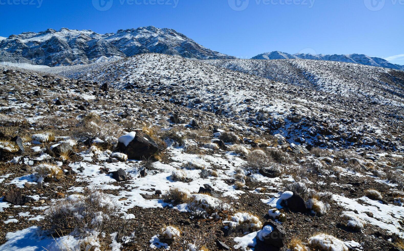 Snow in the mountains, Snow-covered mountain pass, desert plants under the snow in summer photo
