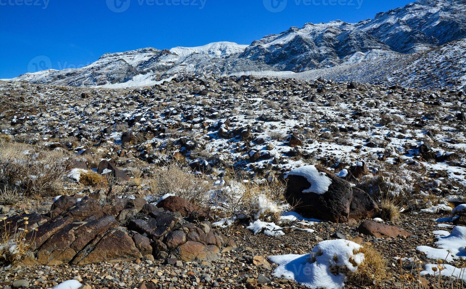 Snow in the mountains, Snow-covered mountain pass, desert plants under the snow in summer photo
