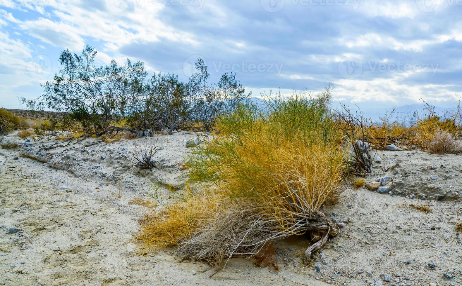 Hills in the California desert from various colored clay formations. Desert vegetation around photo