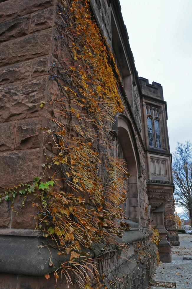 PRINCETON, NJ -15 NOVEMBER 2011 Princeton University is a Private Ivy League University in New Jersey, USA photo